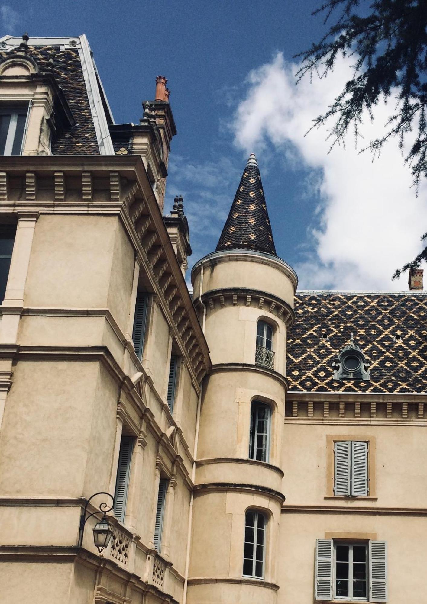 Grand Appartement D'Exception Au Chateau Randin Écully Exterior foto