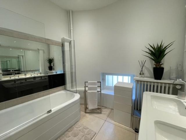 Grand Appartement D'Exception Au Chateau Randin Écully Exterior foto